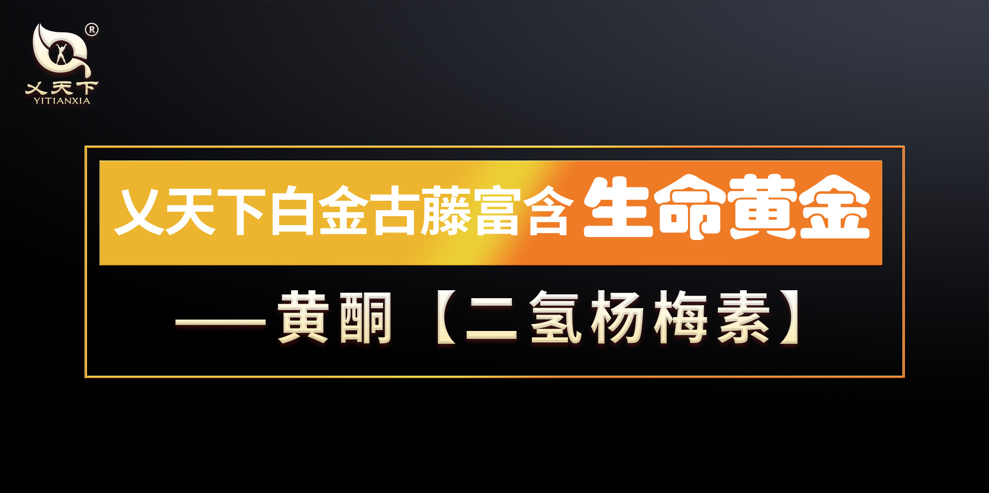 端午上礼端午茶