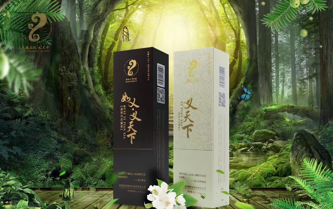 义天下.jpg